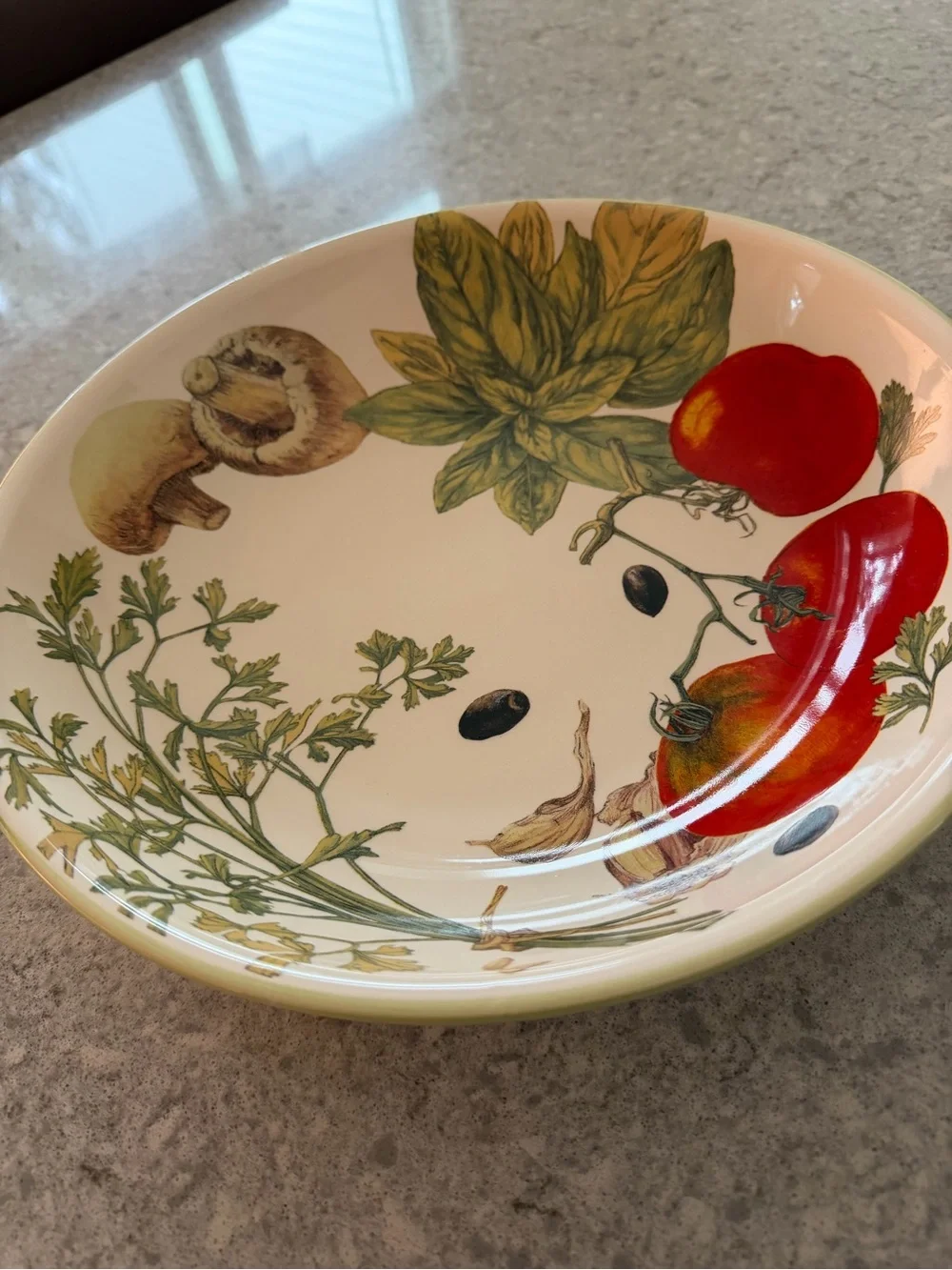 Williams Sonoma Tomato & Herb Ceramic pasta serving bowl Red and Green